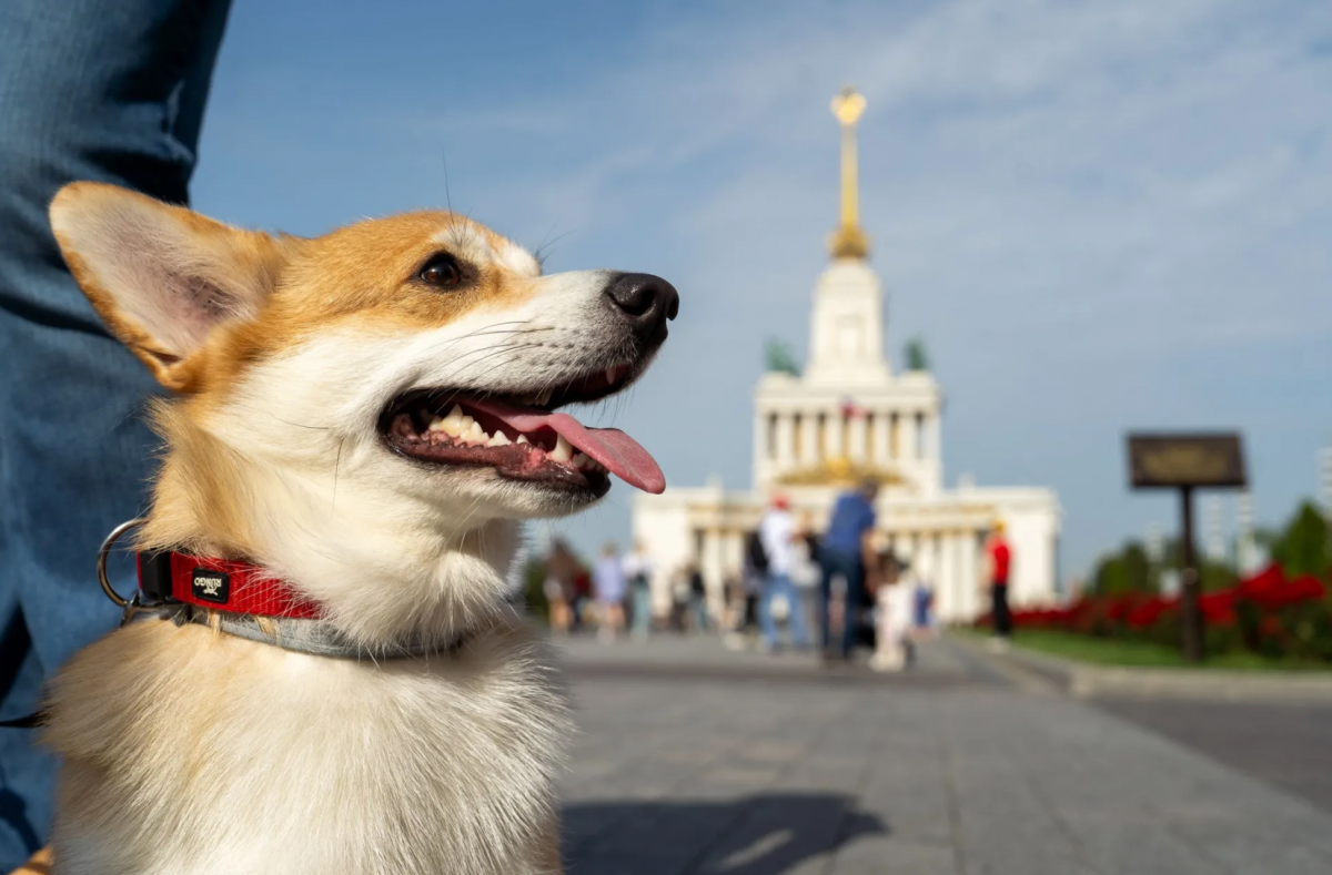 Фото: vdnh.ru