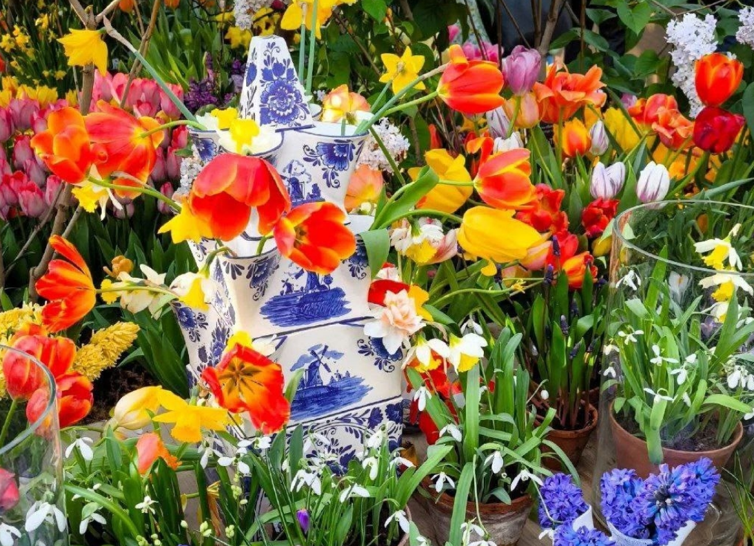 Фото: hortus.msu.ru