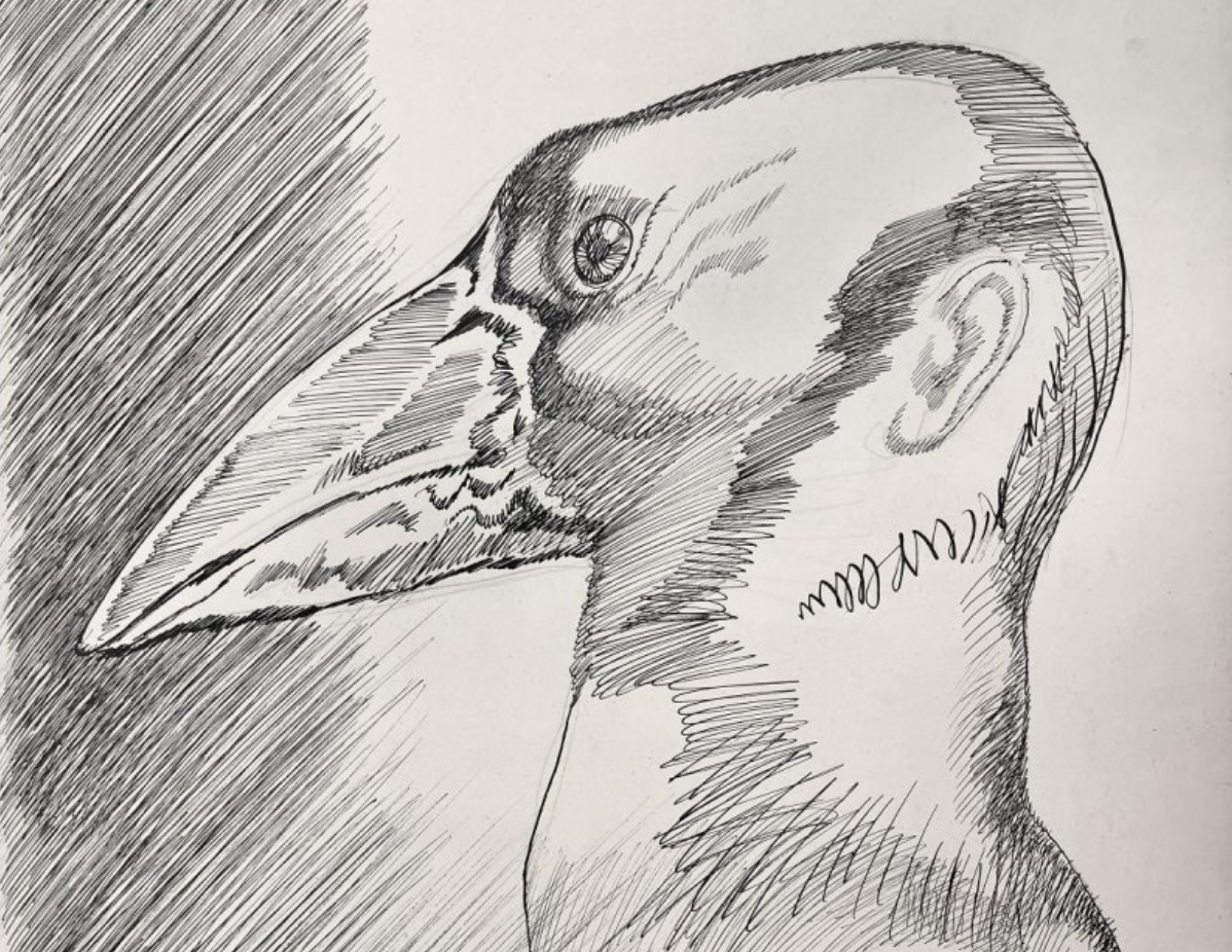 Фото: darwinmuseum.ru