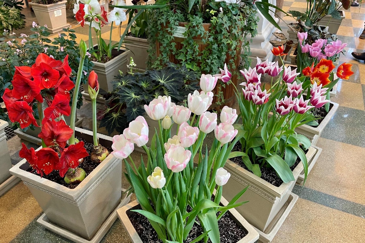 Фото: tsaritsyno-museum.ru