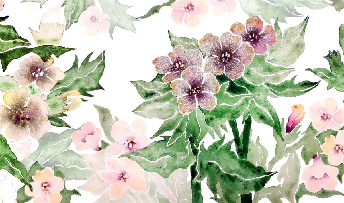 Фото: park.vzmoscow.ru