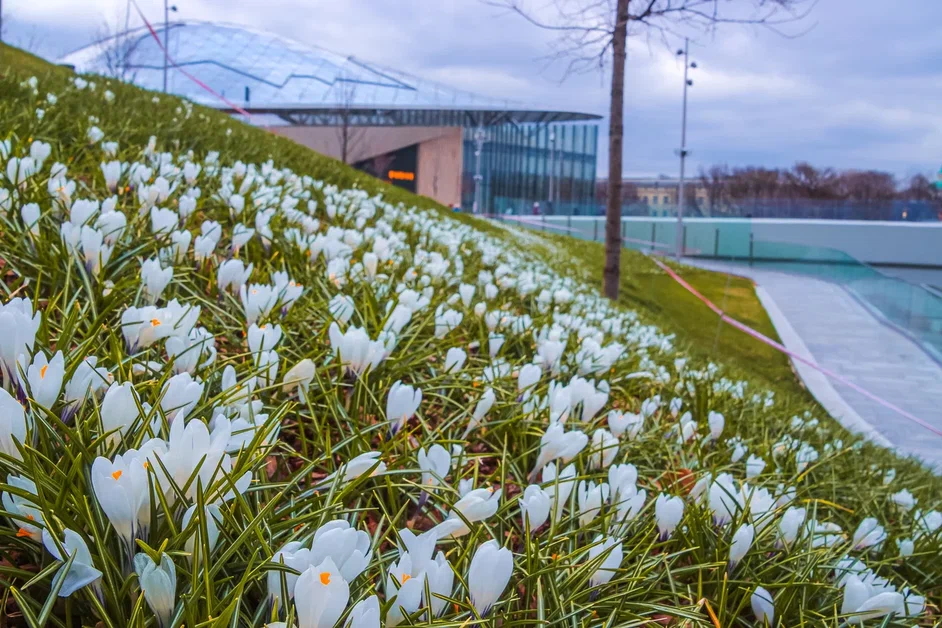 Проект «Волны цветения» в парке «Зарядье» 2022