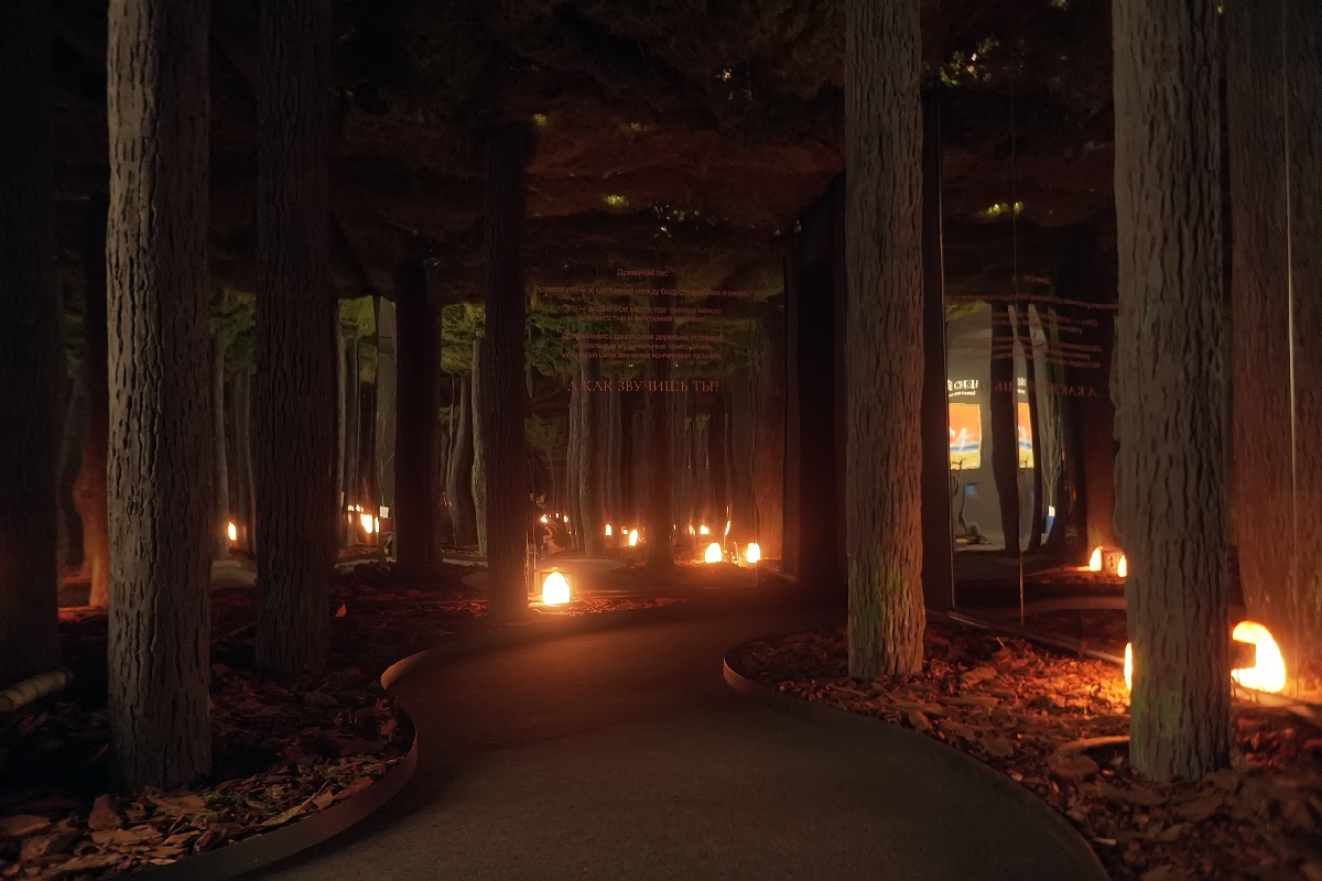 Инновационная мультисенсорная выставка-переживание «Сон в музее»