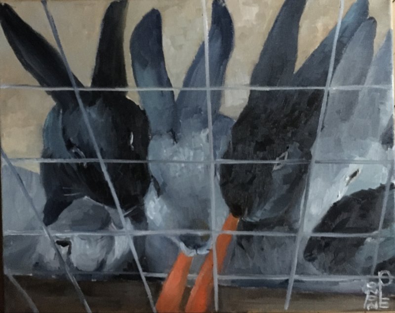 Фото: darwinmuseum.ru