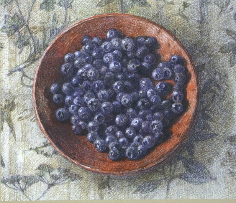 Фото: darwinmuseum.ru