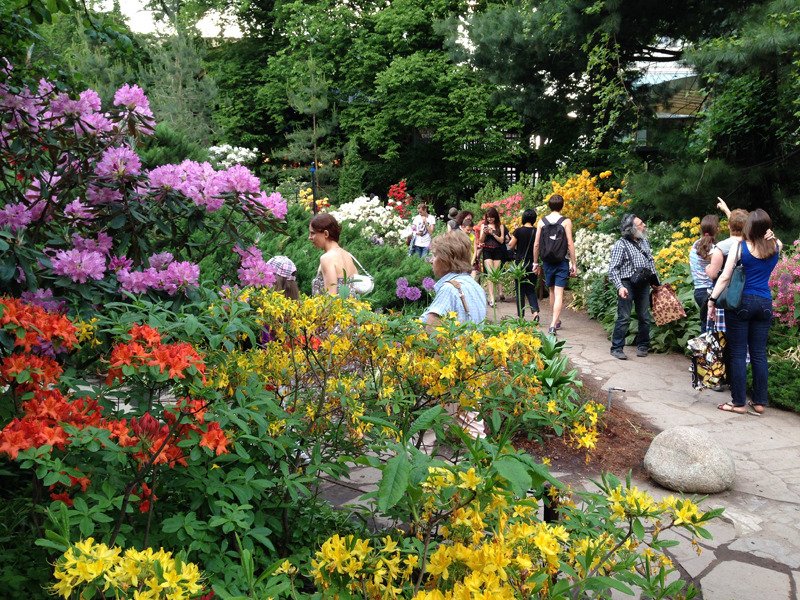 XVII Весенний фестиваль цветов в «Аптекарском огороде»