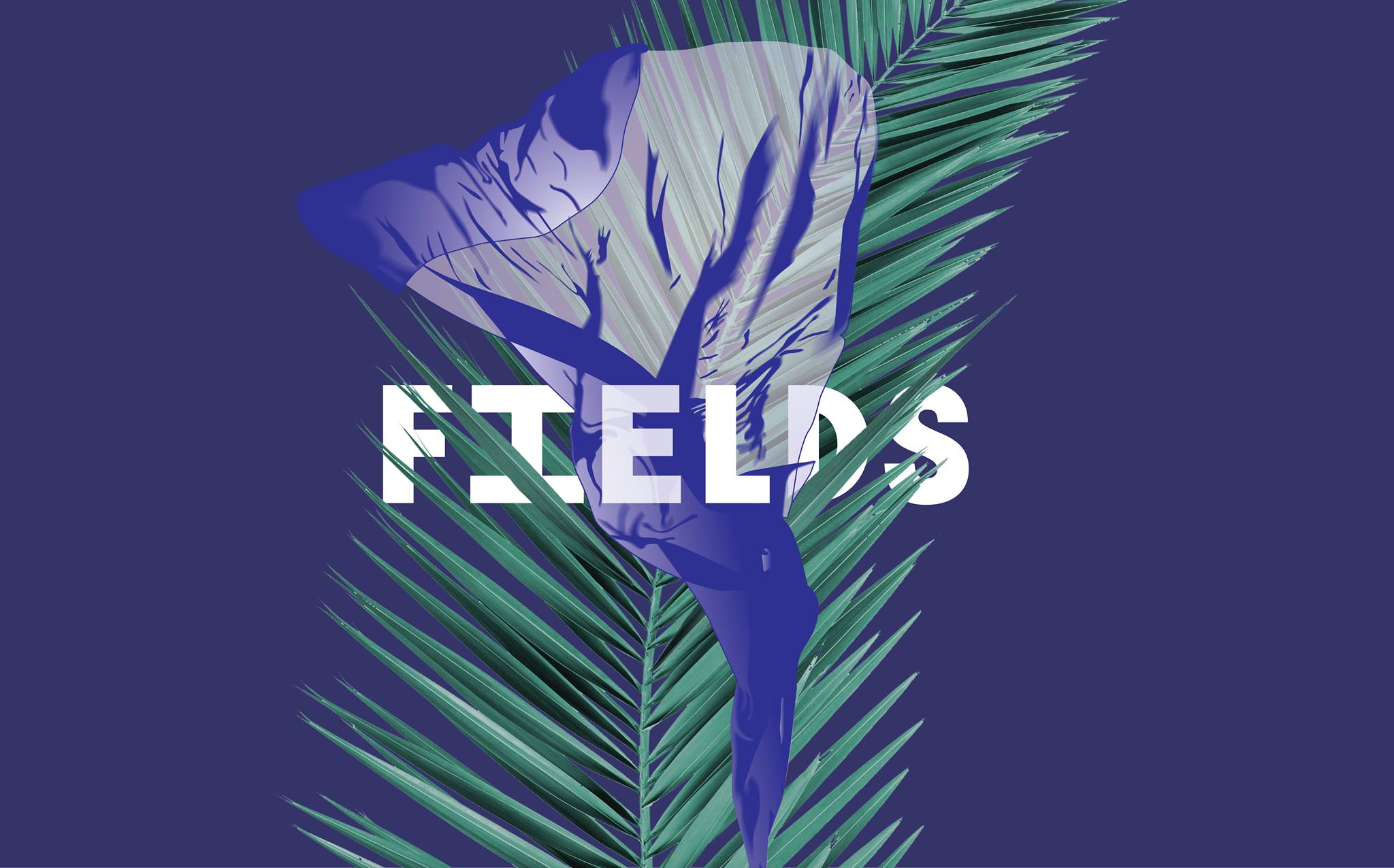 Фестиваль авангардной музыки Fields 2016