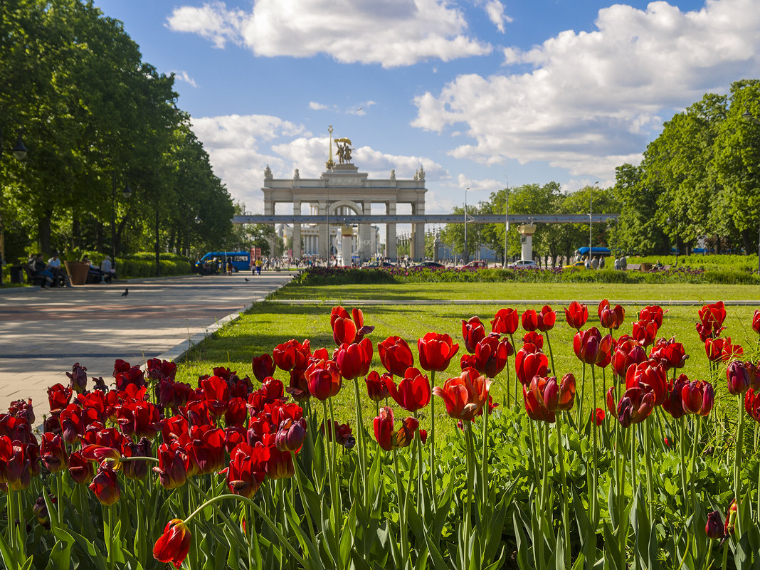 Вднх весной фото