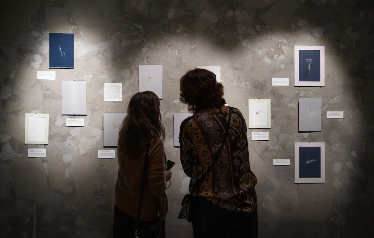 Фото: psch.vzmoscow.ru