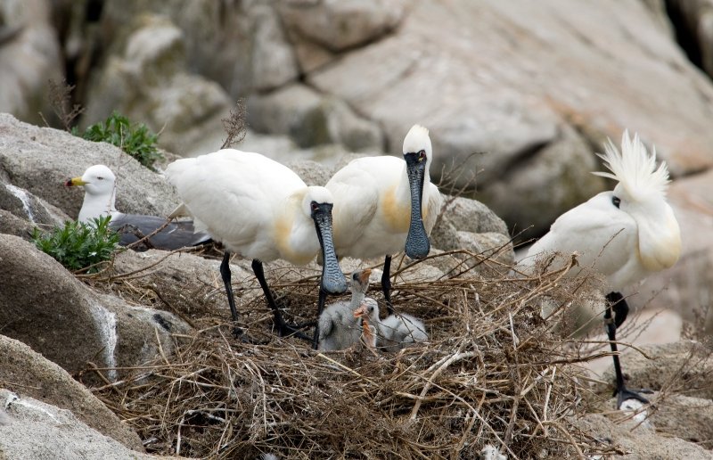 Фото: darwinmuseum.ru