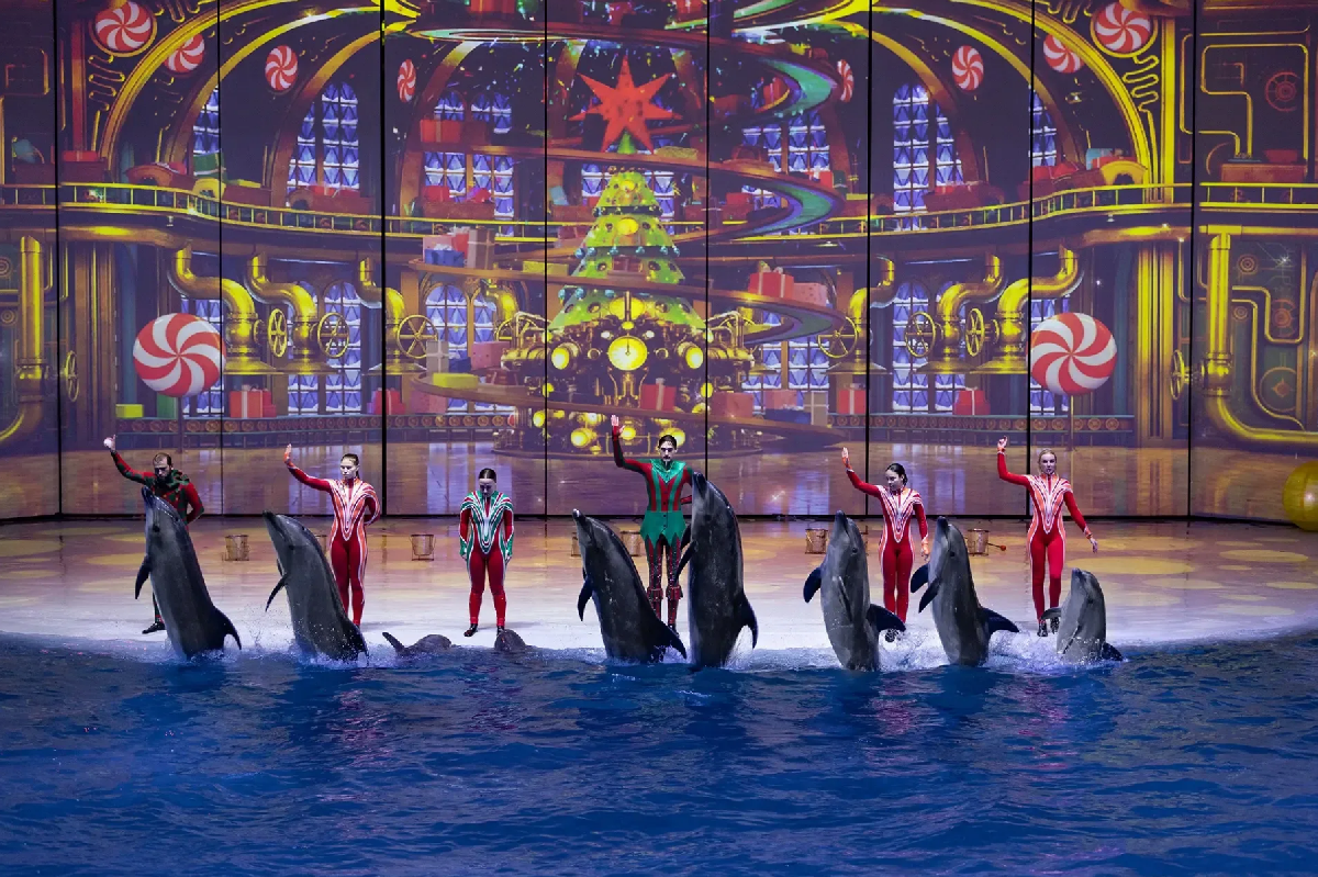 Фото: kosheyshow.ru