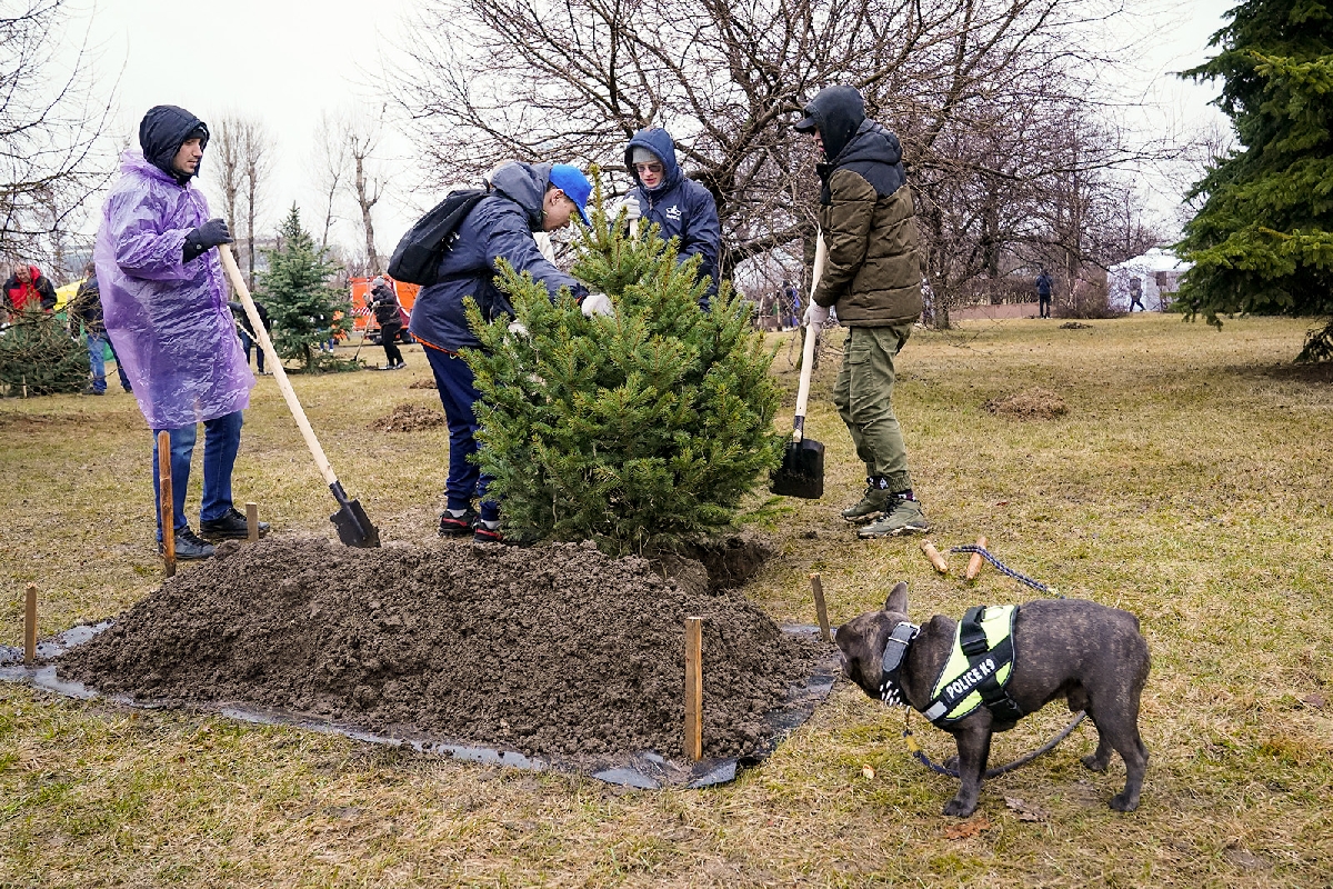 Общегородской субботник 2023