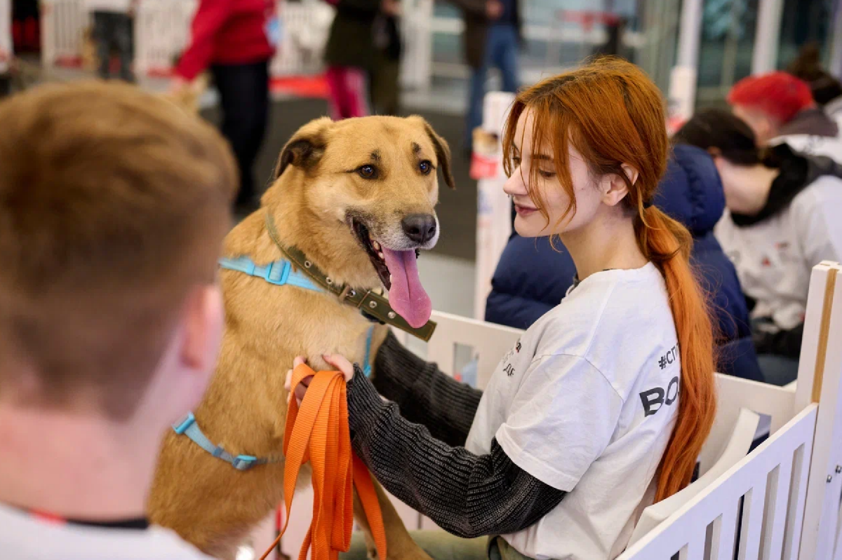 Фото: yunacenter.ru