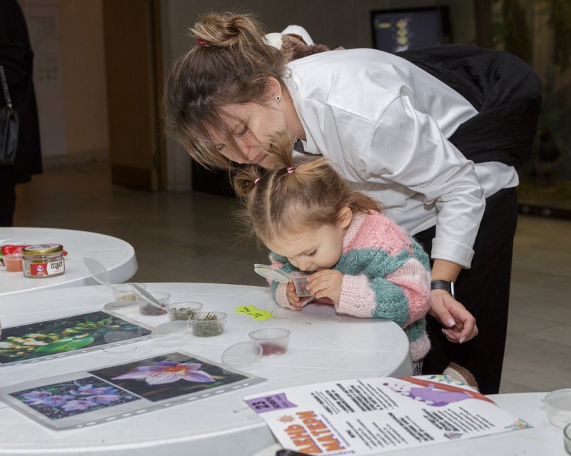 Фото: darwinmuseum.ru