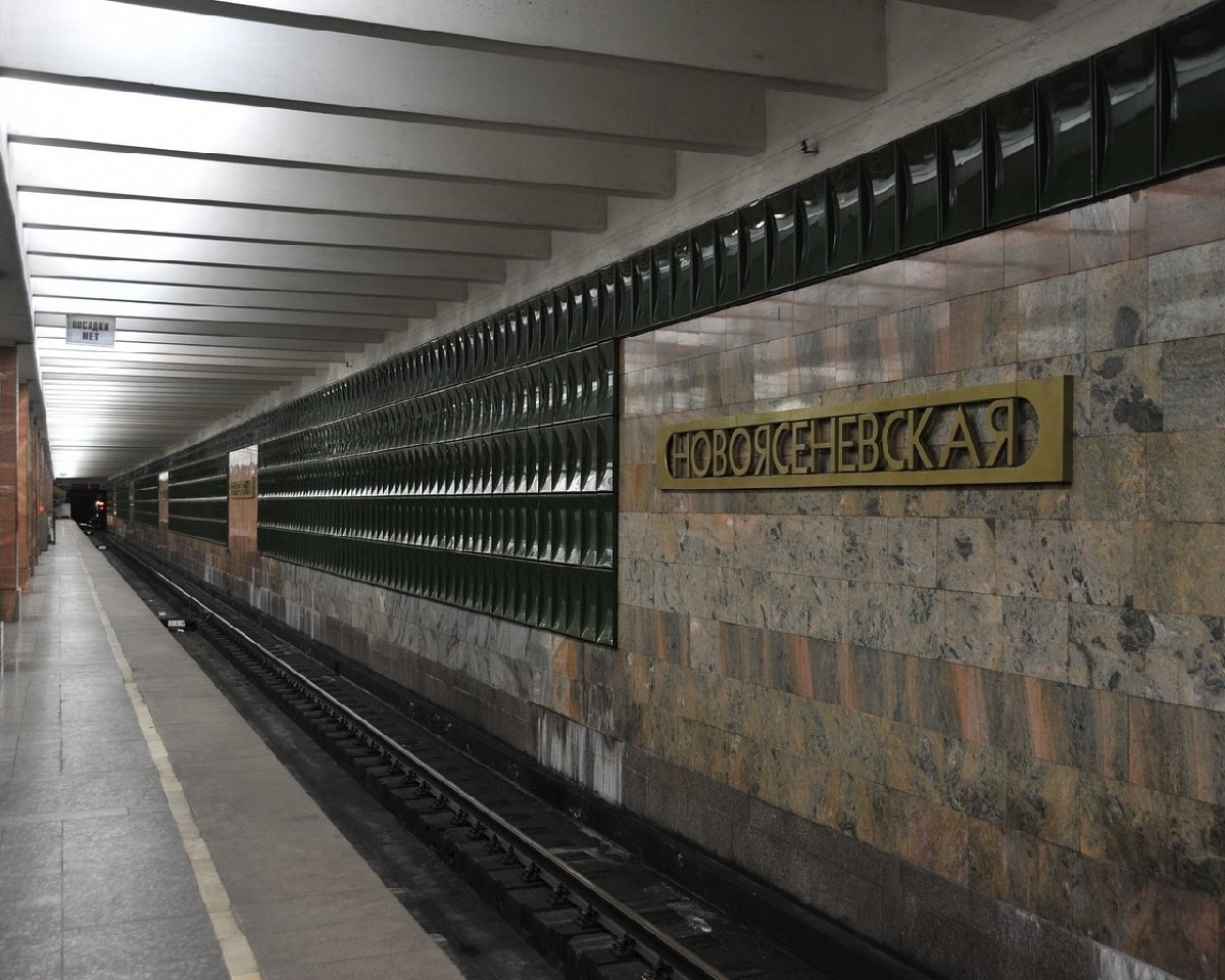 Станция метро Новоясеневская Москва