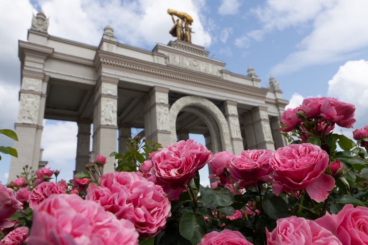 Фото: пресс-служба ВДНХ