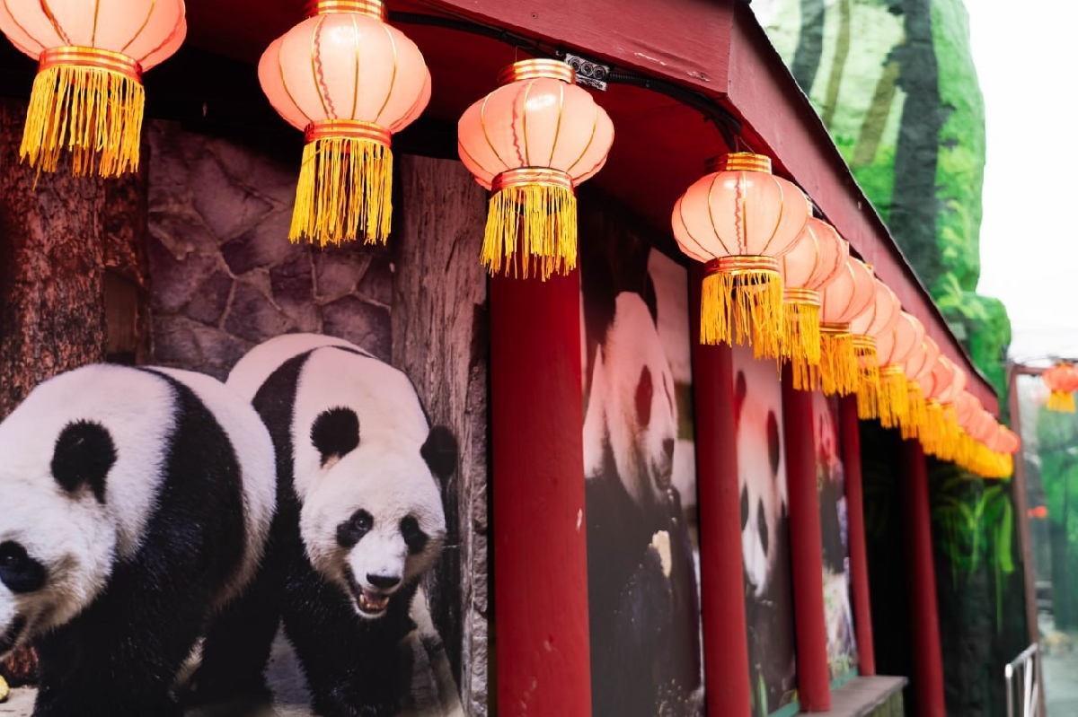 Фото: vk.com/moscow_zoo