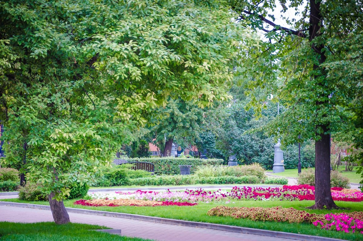 Сад эрмитаж в москве фото летом